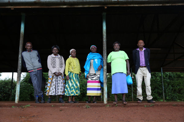 How Ndaroini growers started a coffee revolution in Kenya