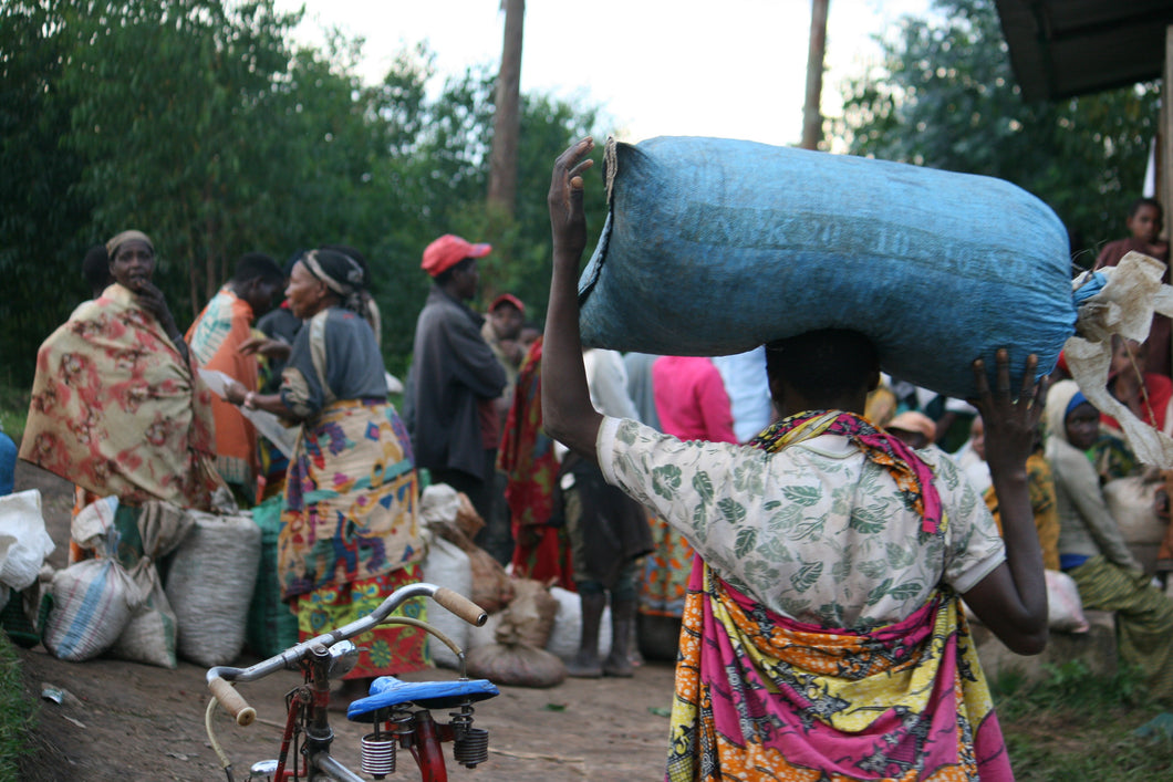 Burundi Gahahe washed coffee Clandestino Coffee