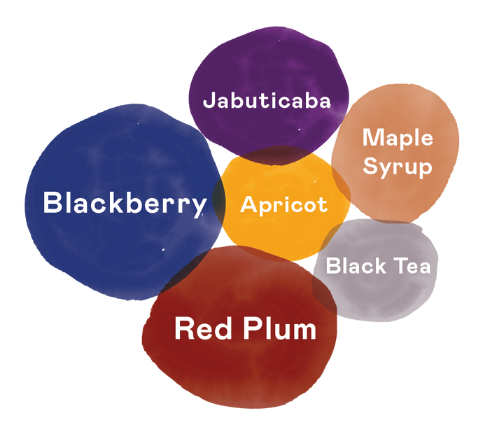 Burundi Gakenke Flavour Profile