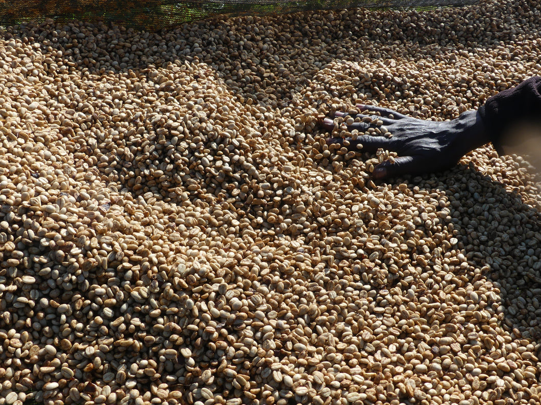 Burundi Gakenke Honey processed beans