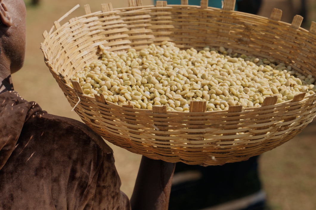Ethiopia Guji Chebega Harsu sala  