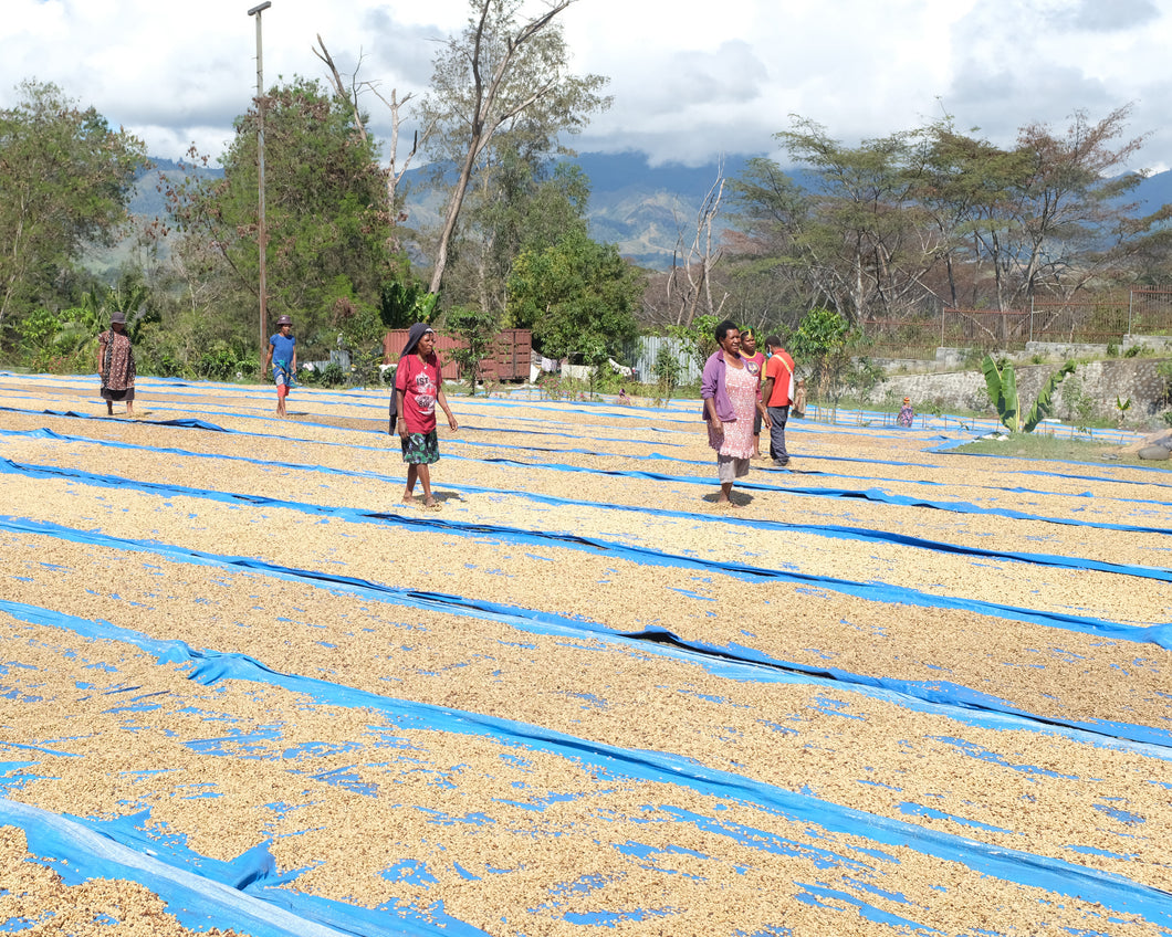 Highland Coffee Papua New Guinea