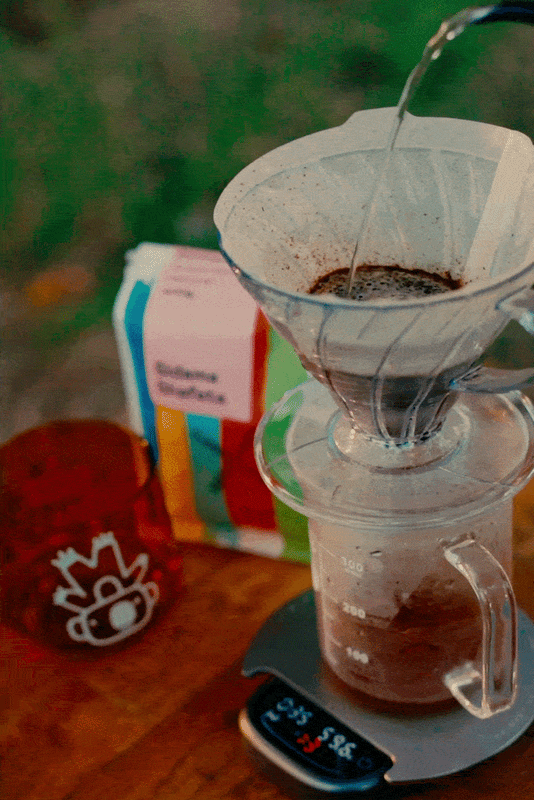 Sidama Shafeta single origin