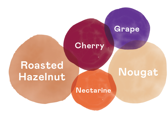 tasting notes Solstice Brew